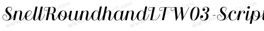 SnellRoundhandLTW03-Script Regular字体转换